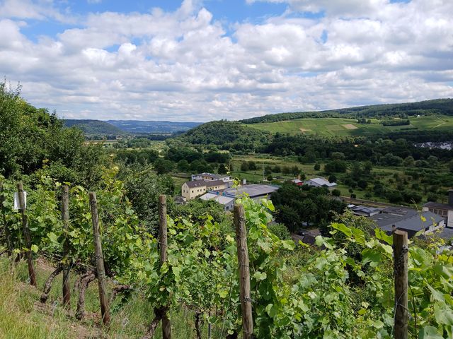 Vue sur Lohrsdorf