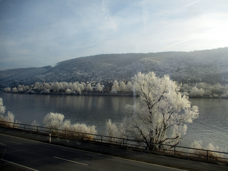 Givre sur les arbres le long de la Moselle