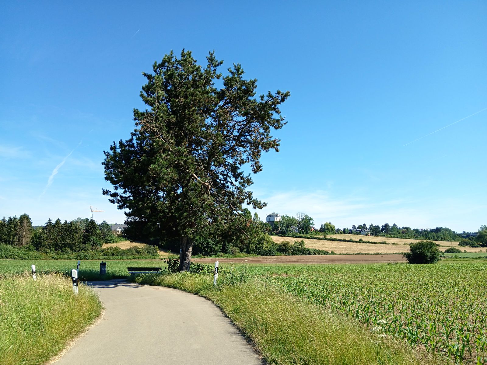 Le chemin qui nous amènent à Cessange