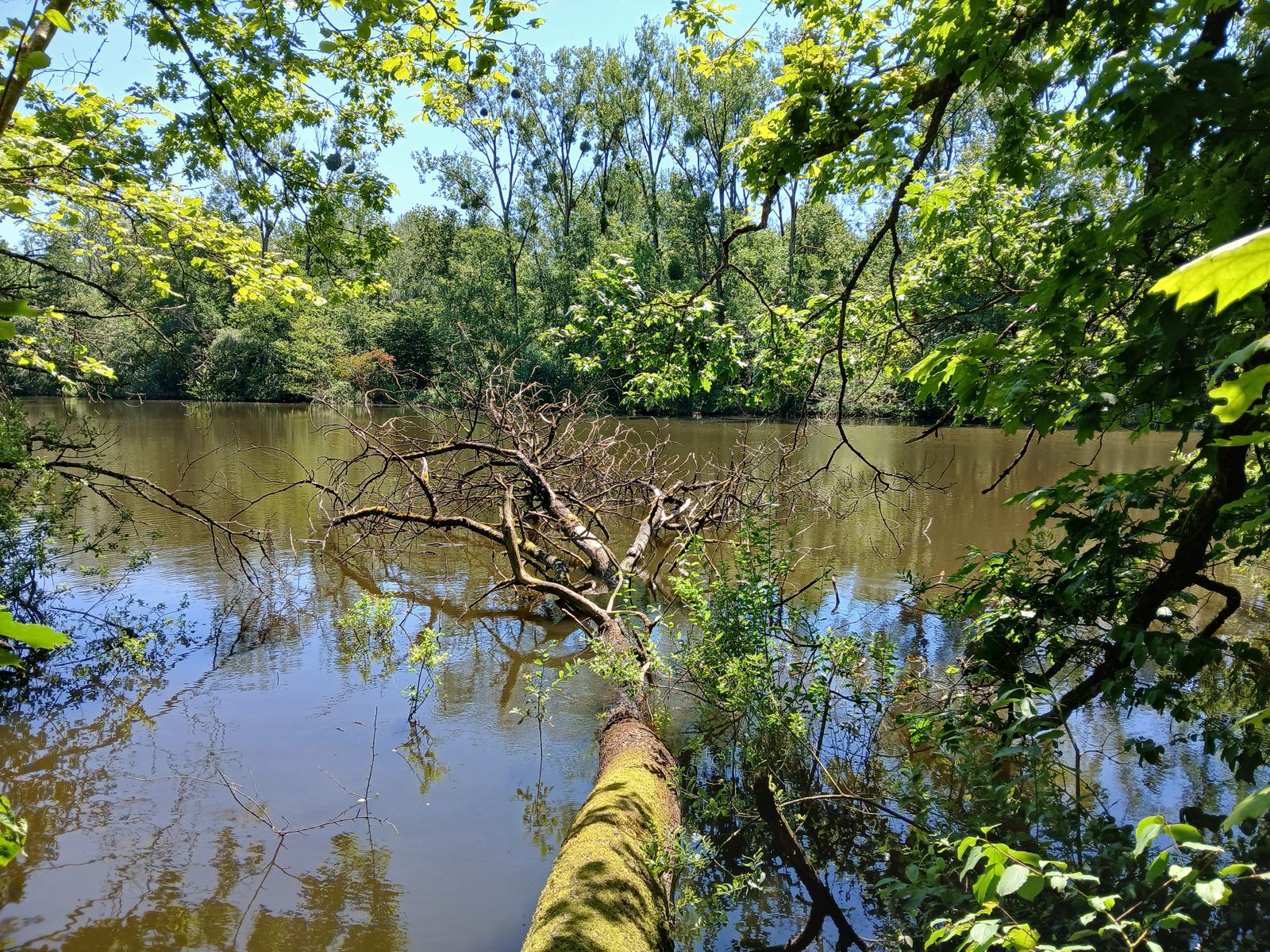 Une autre vue des étangs